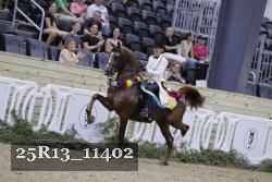 25R13_11402 proof