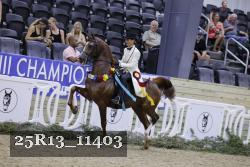 25R13_11403 proof