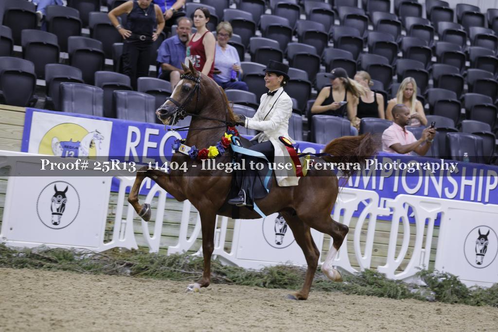 Proof 25R13_11404