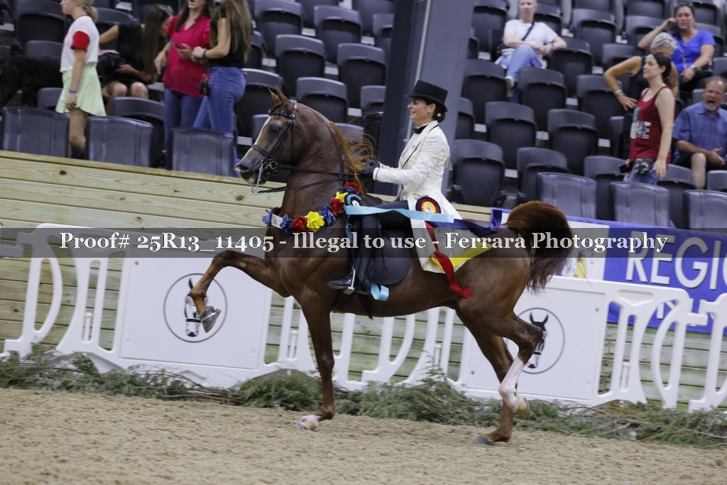 Proof 25R13_11405
