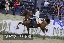 25R13_11405 proof