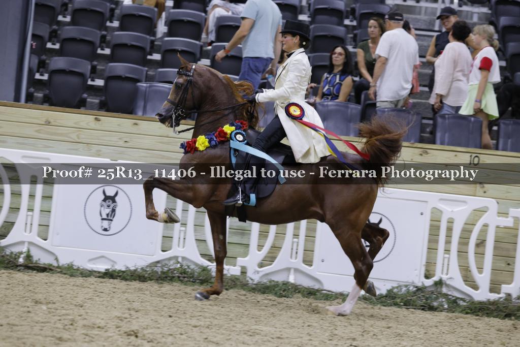 Proof 25R13_11406