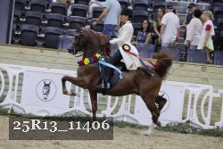 25R13_11406 proof