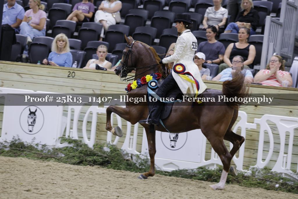 Proof 25R13_11407