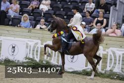 25R13_11407 proof