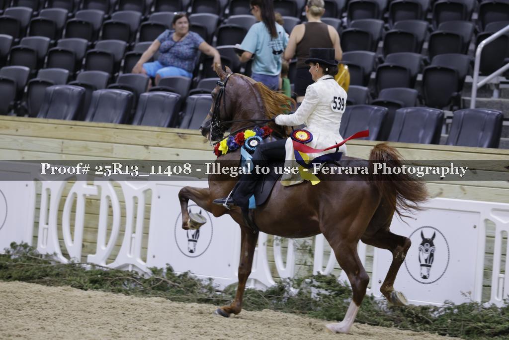 Proof 25R13_11408
