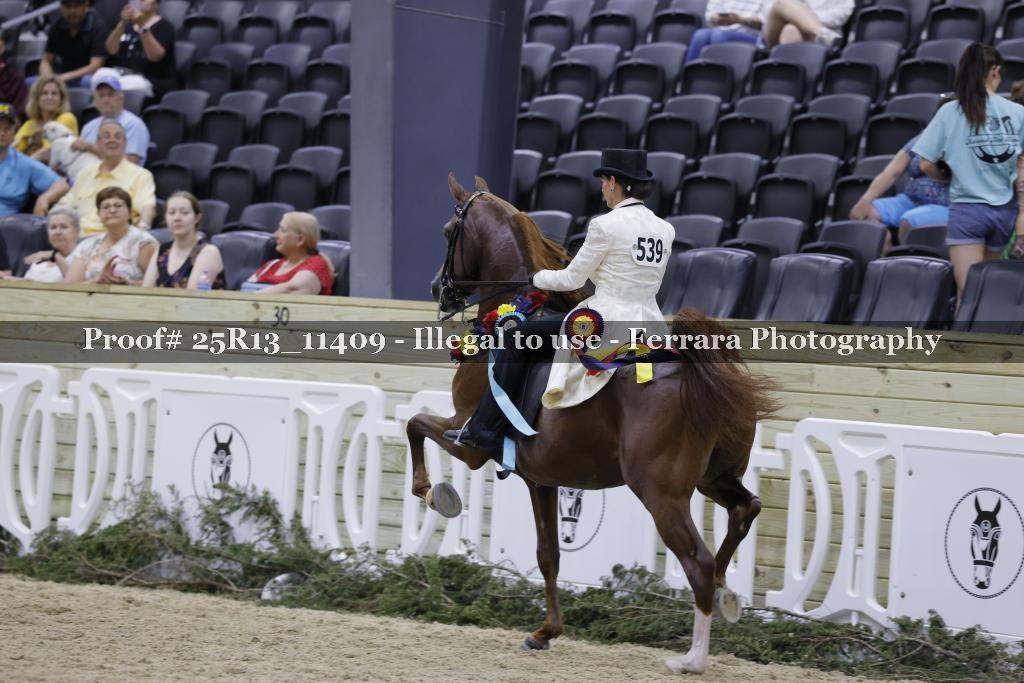 Proof 25R13_11409