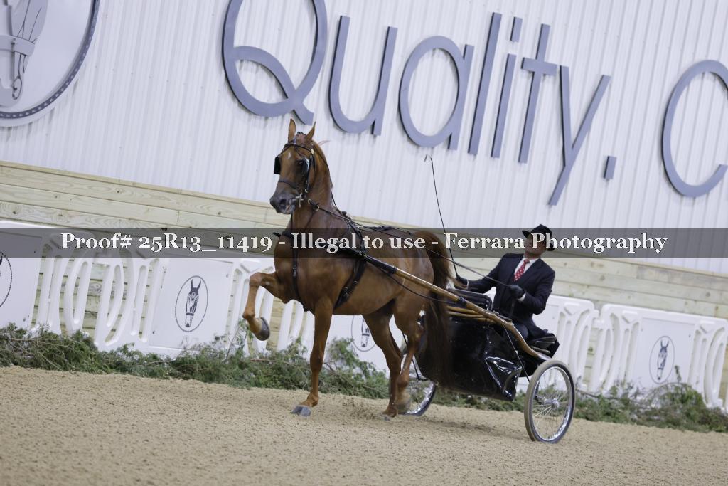 Proof 25R13_11419