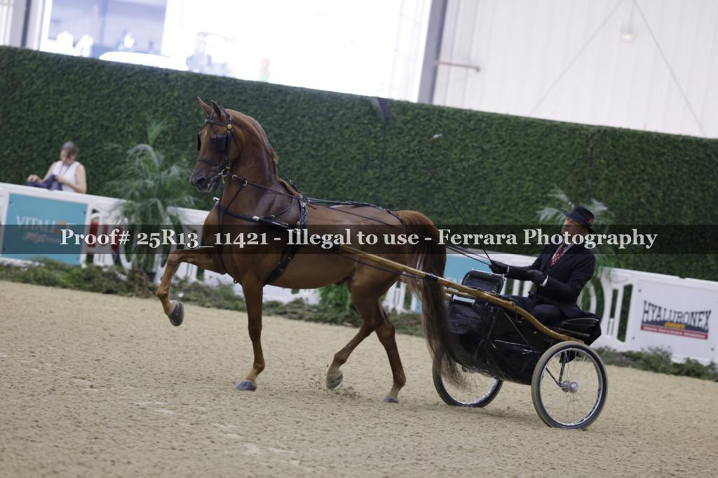 Proof 25R13_11421