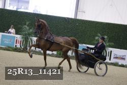 25R13_11421 proof