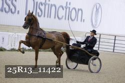 25R13_11422 proof