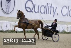 25R13_11423 proof