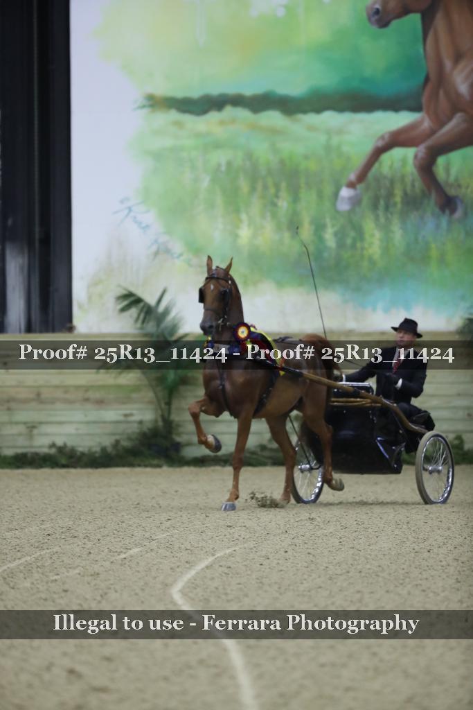Proof 25R13_11424