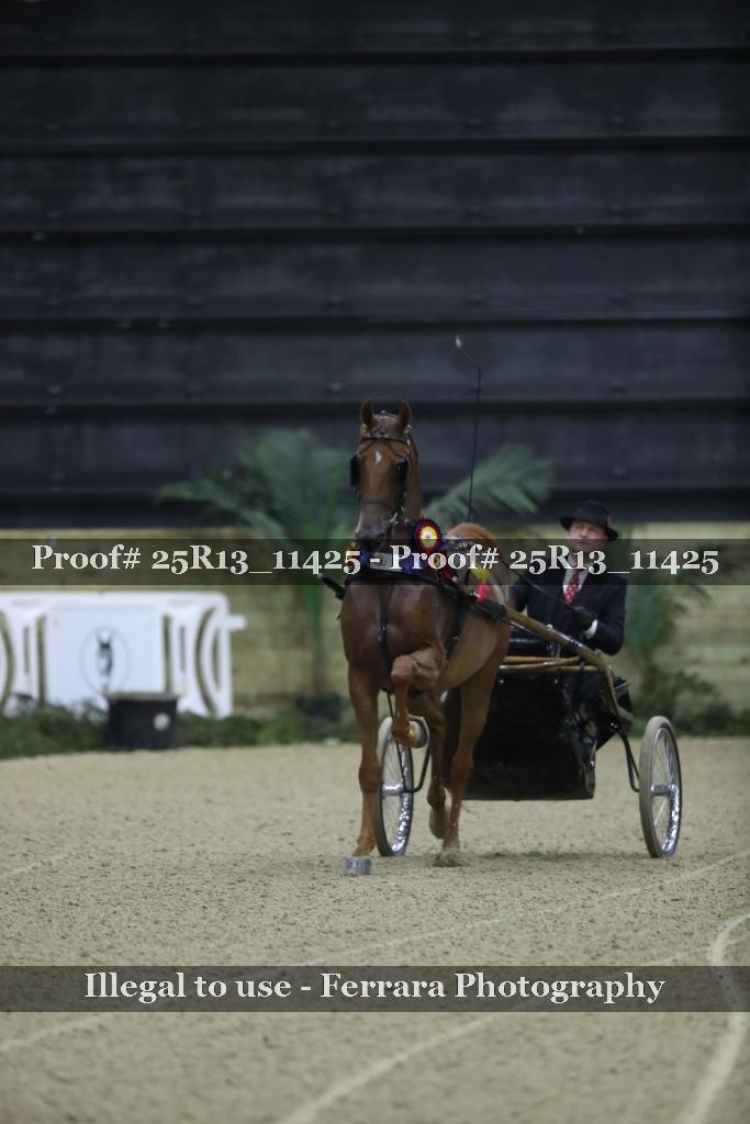 Proof 25R13_11425