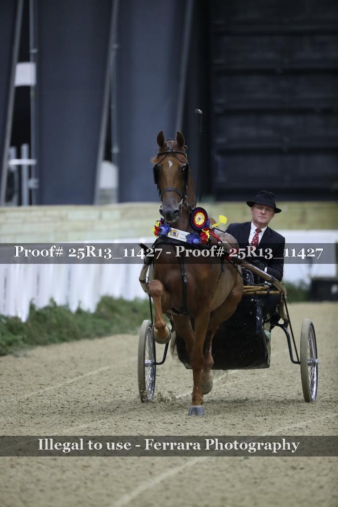 Proof 25R13_11427