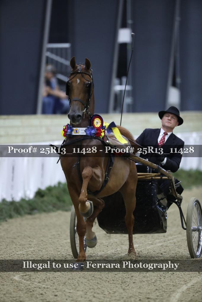 Proof 25R13_11428