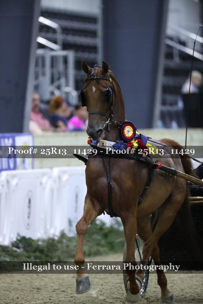 Proof 25R13_11429