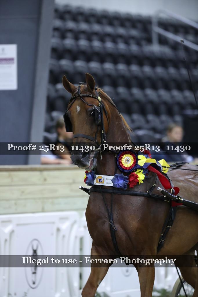 Proof 25R13_11430