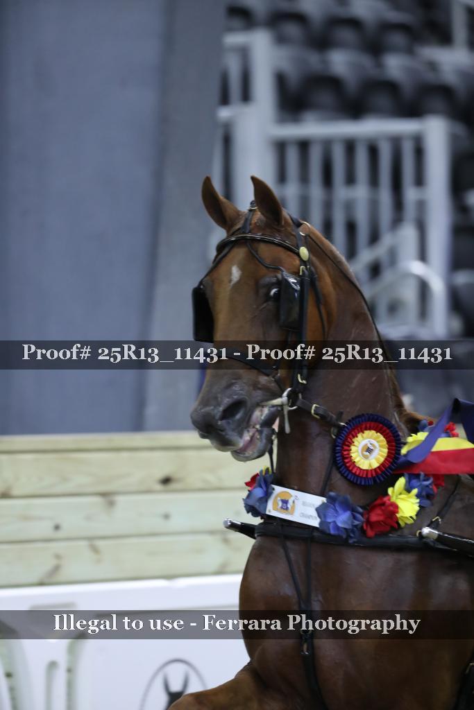 Proof 25R13_11431