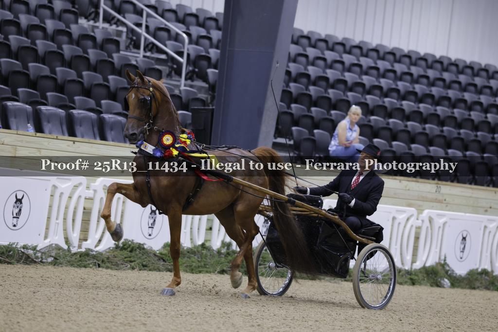 Proof 25R13_11434