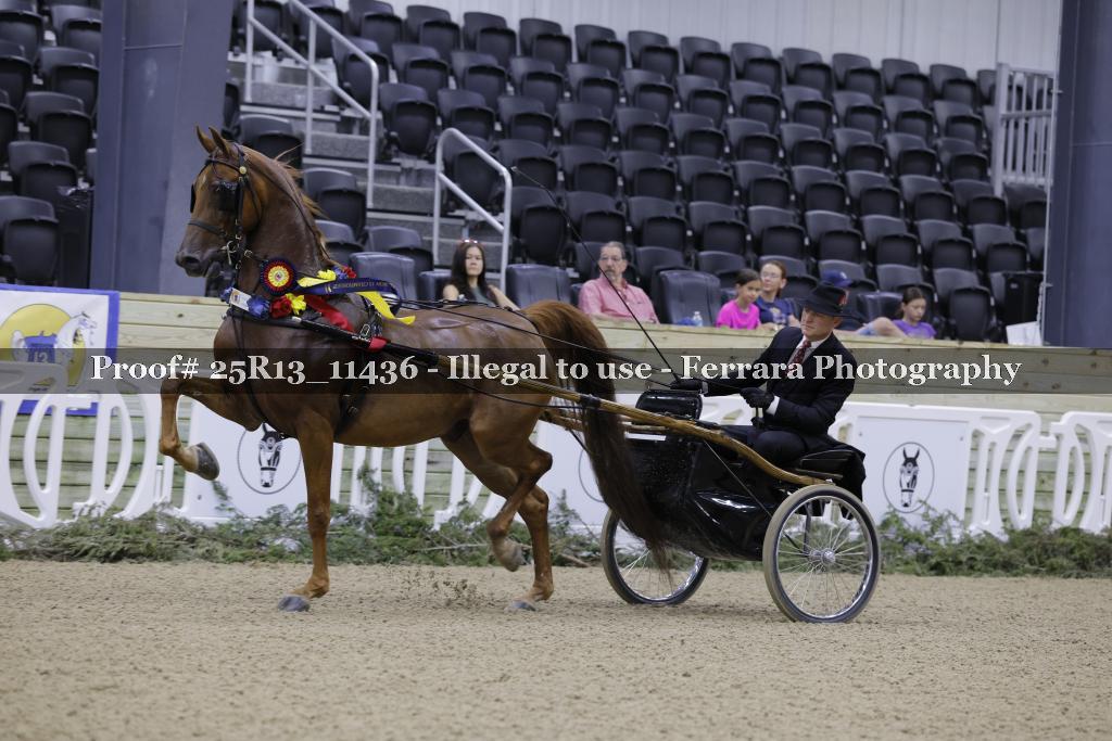 Proof 25R13_11436