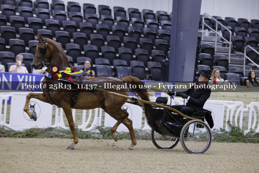 Proof 25R13_11437