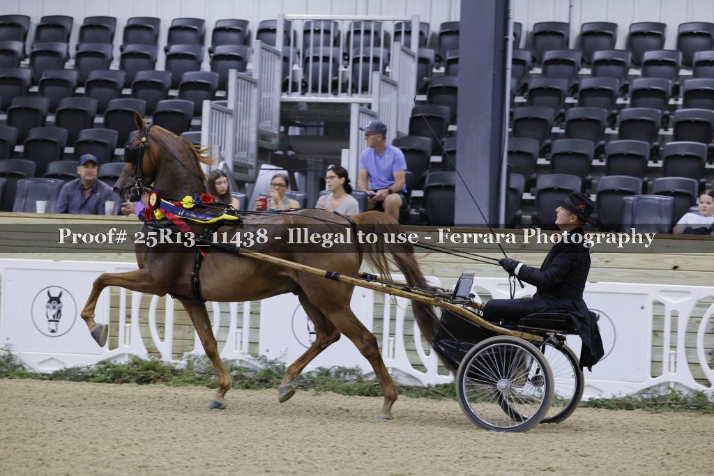 Proof 25R13_11438