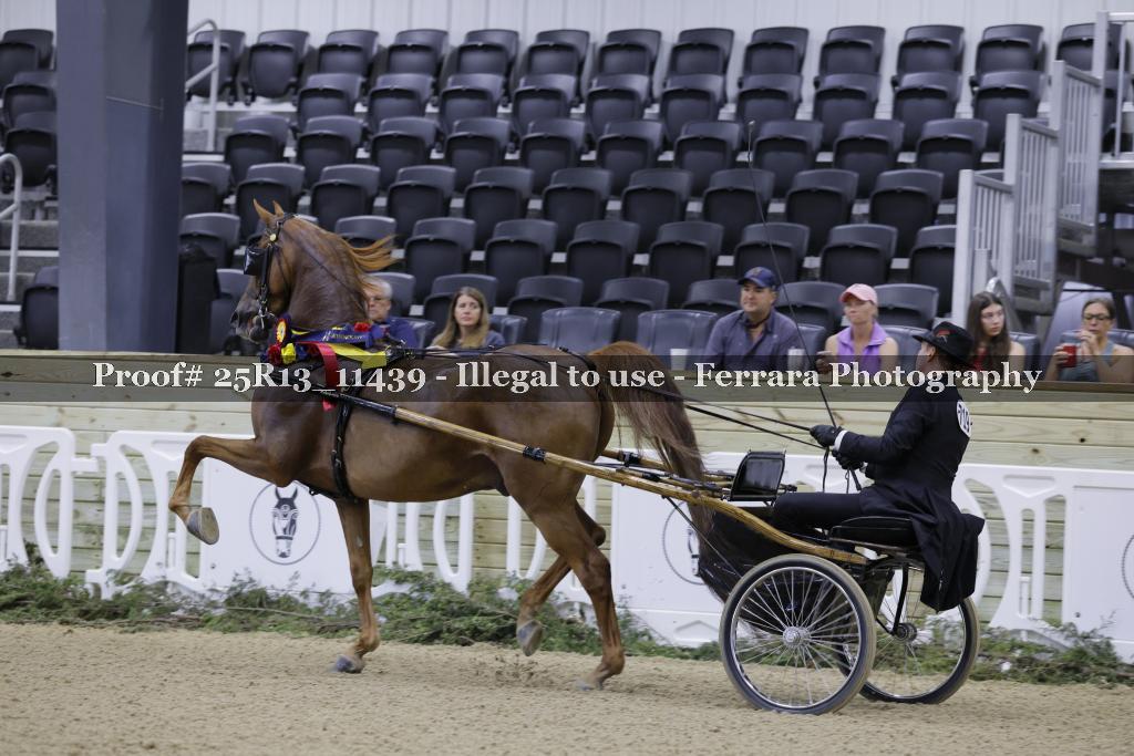 Proof 25R13_11439
