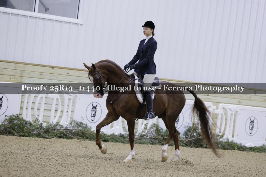 Proof 25R13_11440