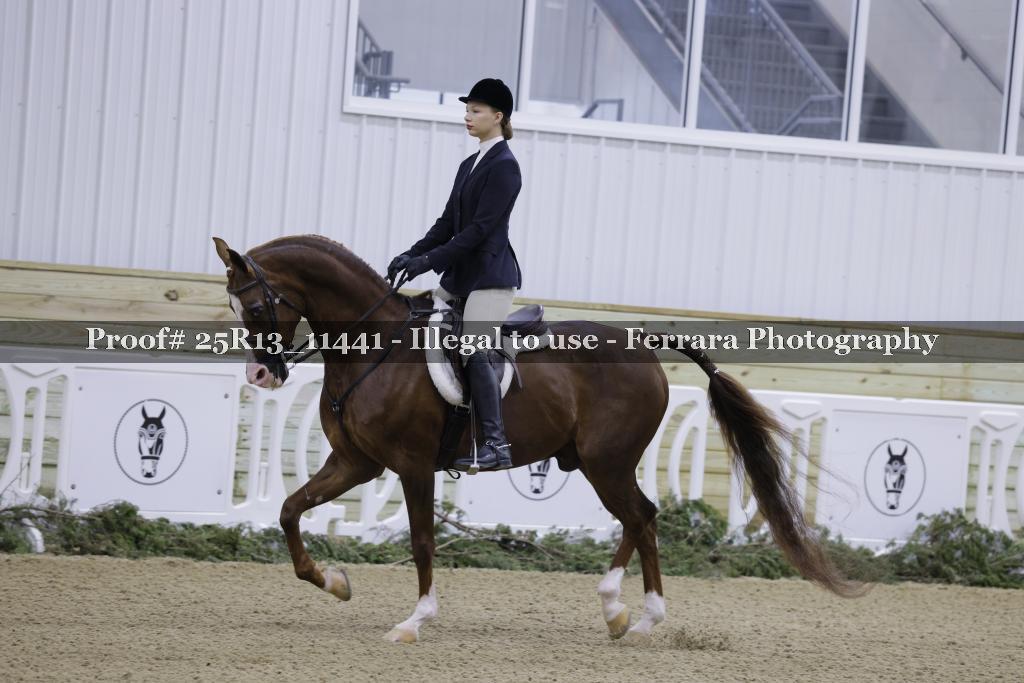 Proof 25R13_11441