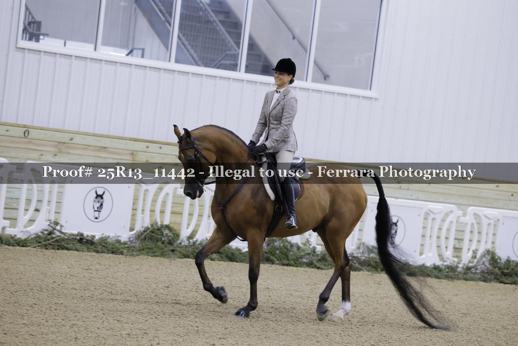 Proof 25R13_11442