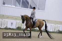 25R13_11442 proof