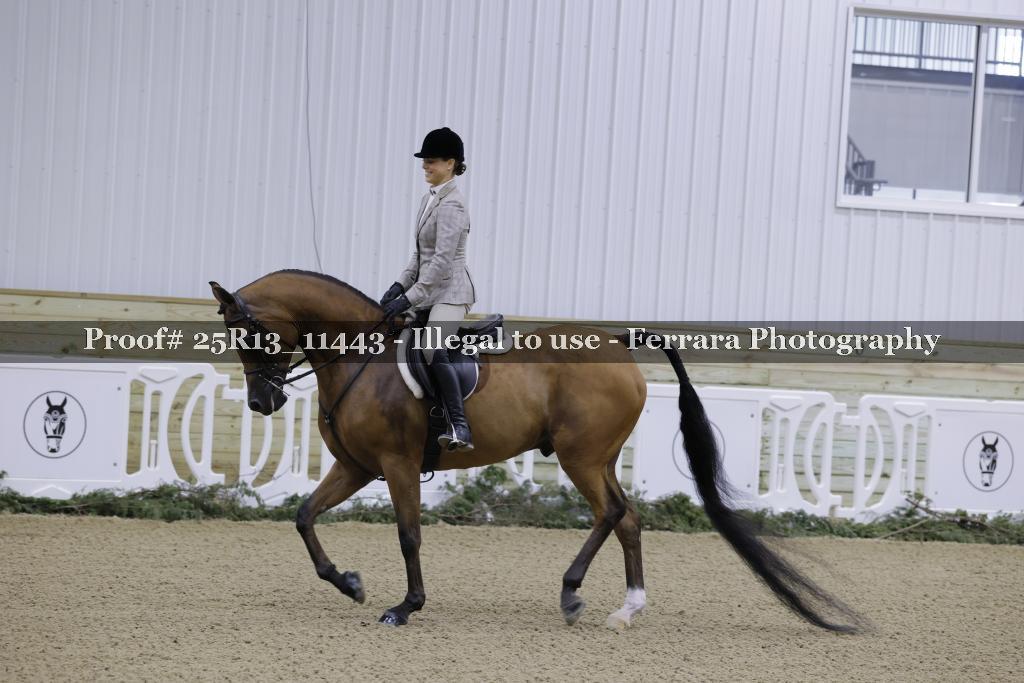Proof 25R13_11443