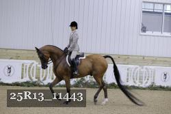 25R13_11443 proof