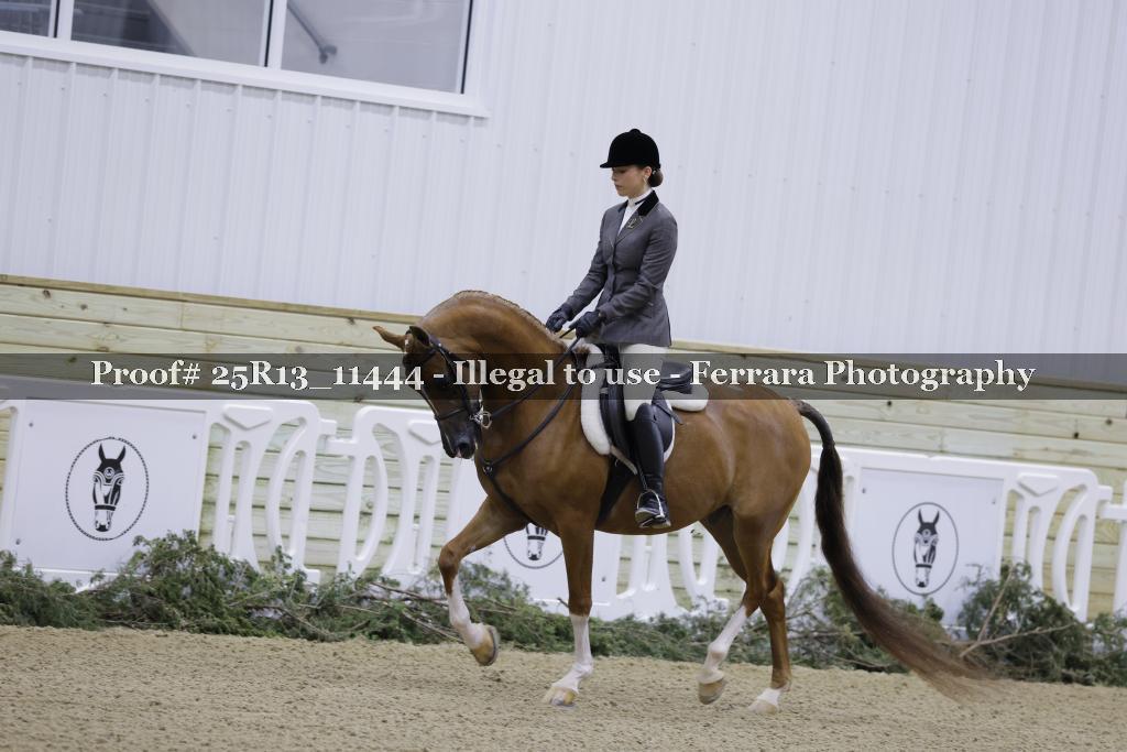 Proof 25R13_11444