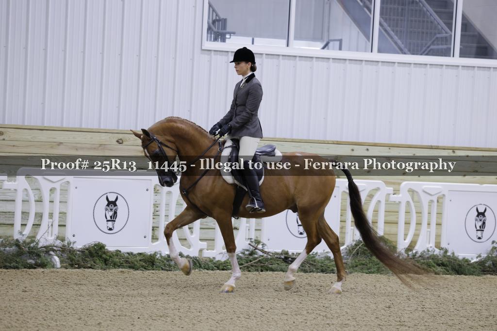 Proof 25R13_11445