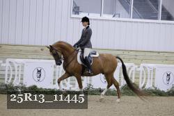 25R13_11445 proof