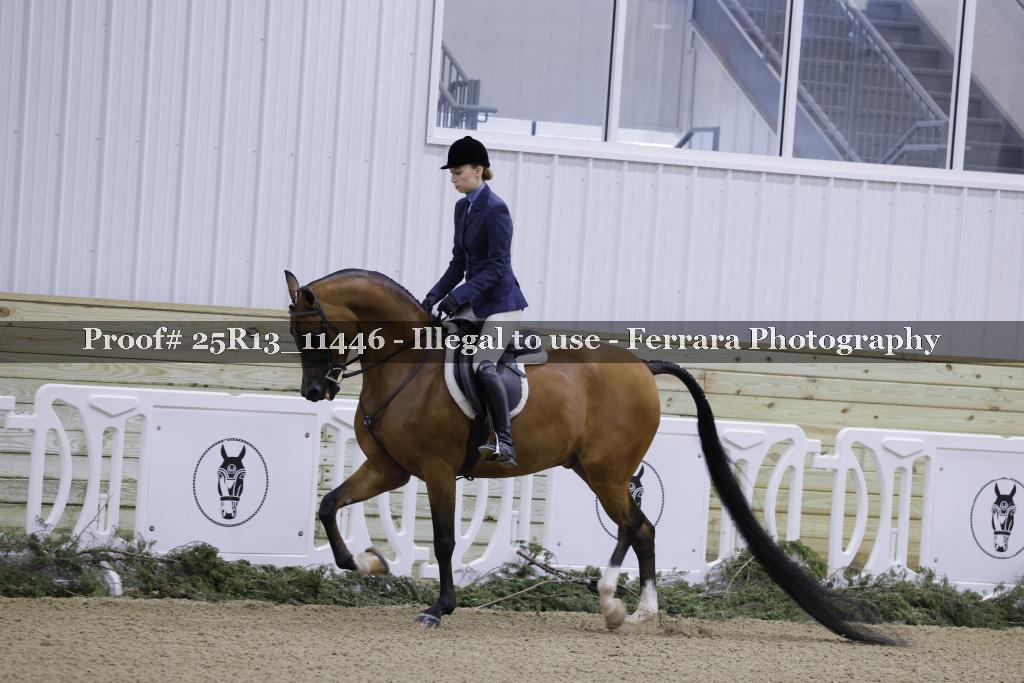 Proof 25R13_11446