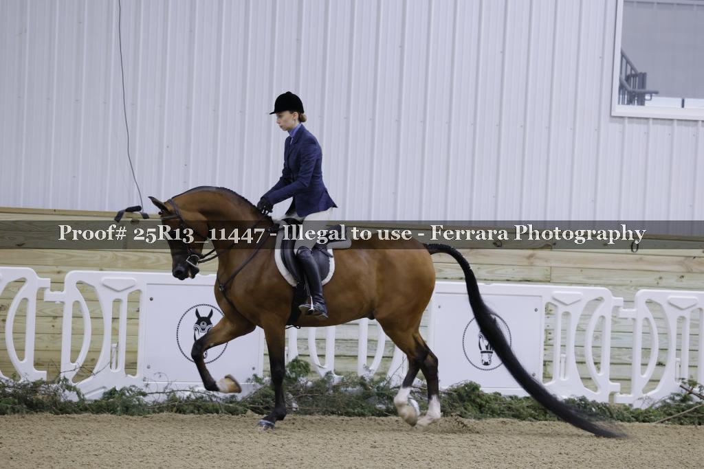 Proof 25R13_11447