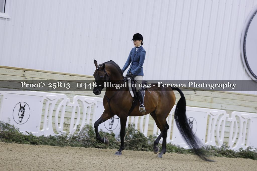 Proof 25R13_11448