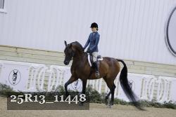 25R13_11448 proof