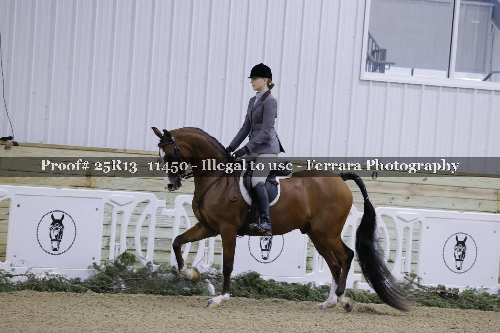 Proof 25R13_11450