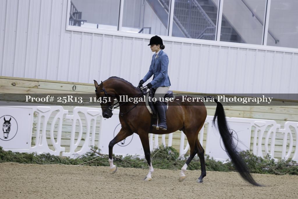 Proof 25R13_11451