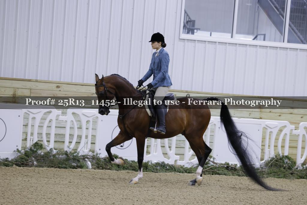 Proof 25R13_11452