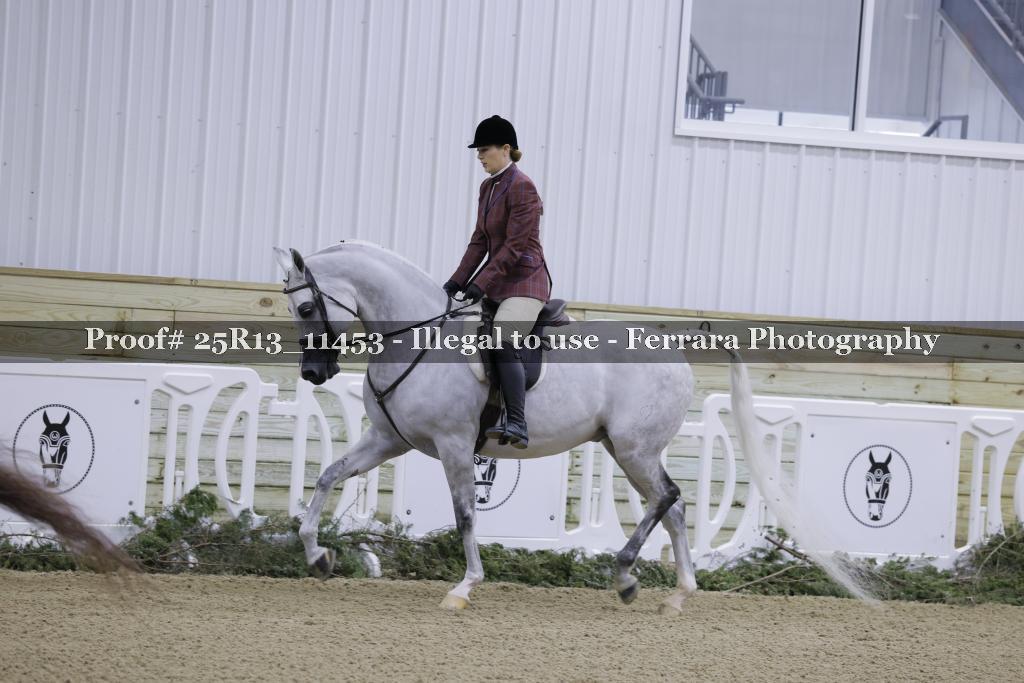 Proof 25R13_11453