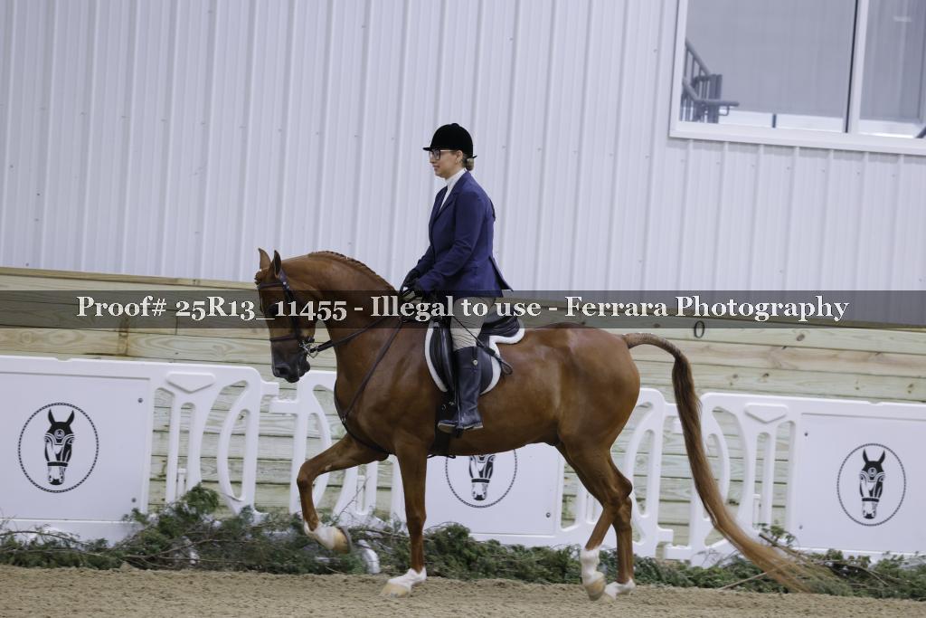 Proof 25R13_11455