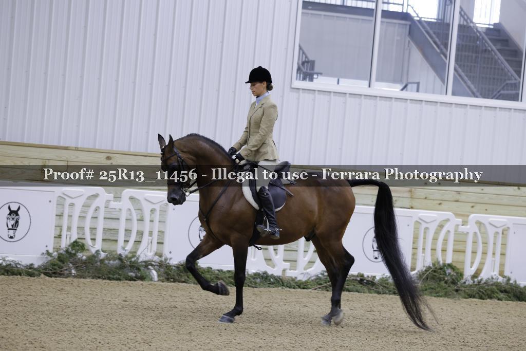 Proof 25R13_11456