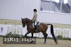 25R13_11456 proof