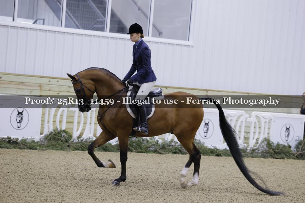Proof 25R13_11459