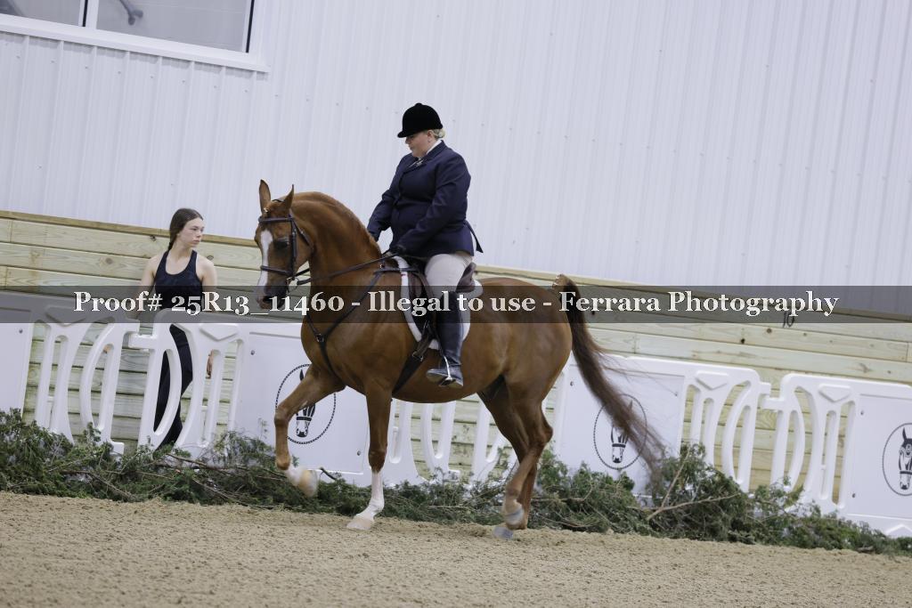 Proof 25R13_11460